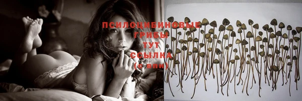 гашишное масло Лабытнанги