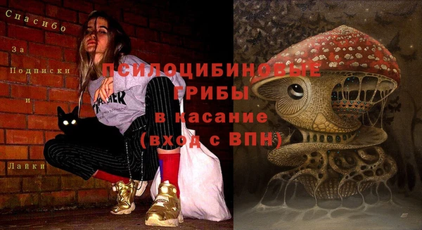 МДМА Ладушкин