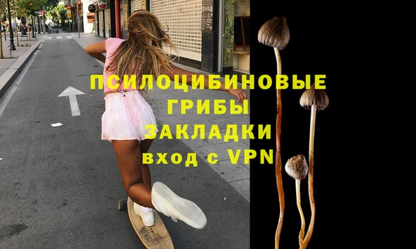 apvp Лагань